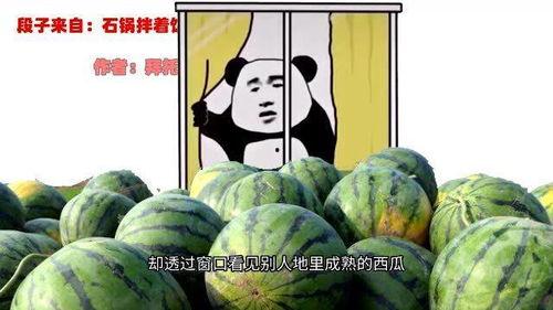 夏邑吃瓜表哥是谁,网络红人的崛起之路