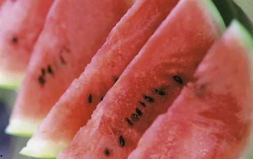 南方人怎么吃瓜,解锁夏日消暑美食新风尚