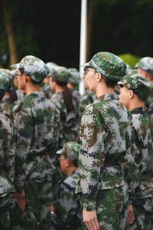 吃瓜军训某食堂,吃瓜群众的美食盛宴