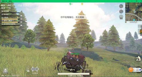 荒野行动吃瓜,吃瓜群众揭秘游戏幕后故事