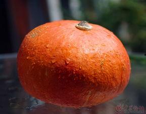 吃瓜无语特效,网络热梗背后的趣味与思考