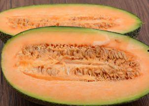 张嘴吃哈密瓜,尽享哈密瓜的甜蜜滋味