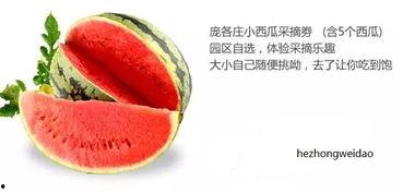 禾吃瓜,揭秘农业科技与绿色生活的完美融合