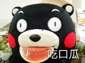 吃瓜歌怎么读,探寻流行歌曲中的趣味与智慧