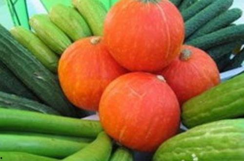 高瓜菜有期怎么吃,多样美味吃法大揭秘