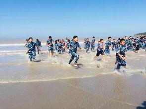 吃瓜少年东海,揭秘娱乐圈背后的故事