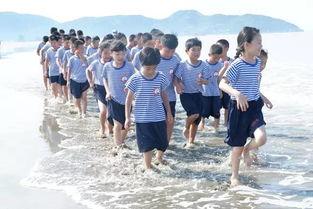 吃瓜少年东海,揭秘娱乐圈背后的故事