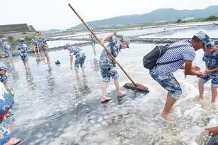 吃瓜少年东海,揭秘娱乐圈背后的故事