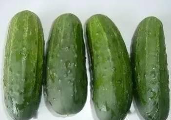 乳瓜有人吃吗有人吃吗,探寻其食用现状与口味之谜