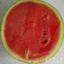 可可西吃瓜,揭秘神秘吃瓜传说