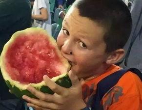 奇葩公寓吃瓜,吃瓜群众揭秘邻里奇闻轶事