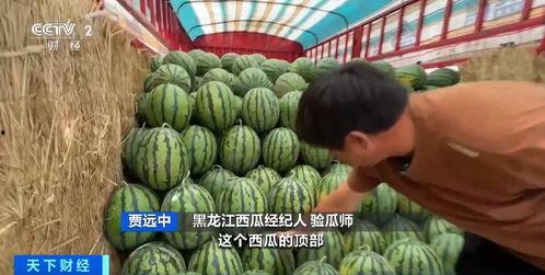 进群吃瓜系统,社交新潮流背后的秘密与影响