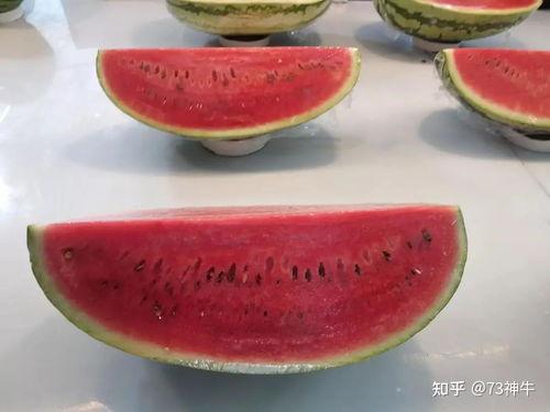 画室吃瓜文案怎么写,揭秘艺术圈的趣味瞬间