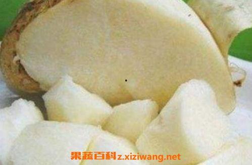 吃土瓜有什么好处,养生益寿的天然保健品