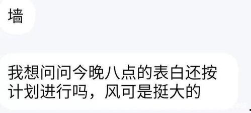吃瓜顺便表白,心意暗藏——一场别开生面的表白之旅