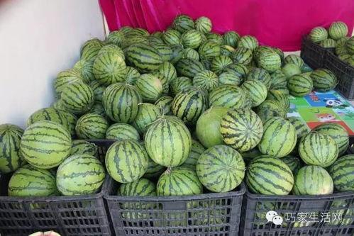 汾陈吃瓜,揭秘古代宫廷的宫廷美食传奇