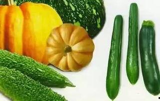 古画吃瓜,穿越时空的美食画卷