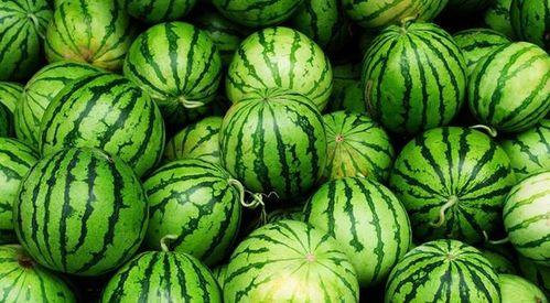 暮土吃瓜,探寻瓜果之地的风土人情