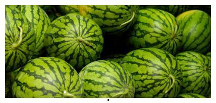 暮土吃瓜,探寻瓜果之地的风土人情