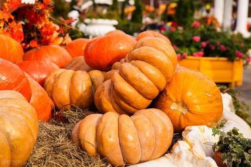 秋吃瓜,瓜果飘香，尽享丰收美味