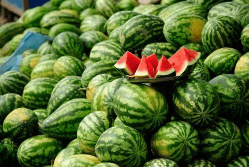 带你吃瓜健身,轻松享受健康生活