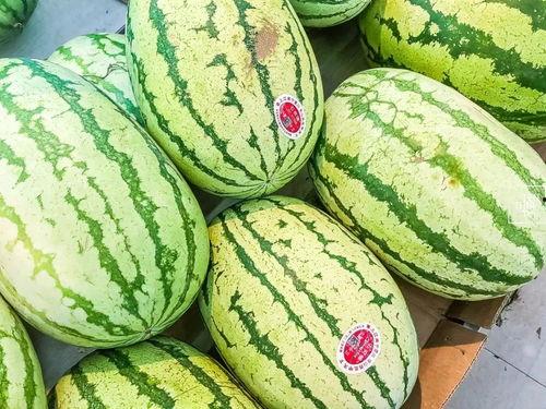 线下单杀吃瓜,单杀吃瓜，见证电竞传奇时刻