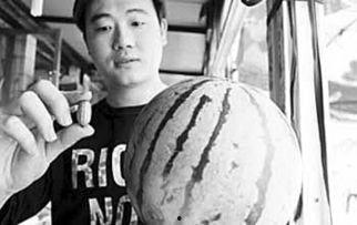 吃瓜不让吐瓜皮,揭秘网络热议背后的真相与反思