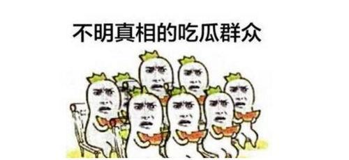 社会 瓜瓜吃瓜反思